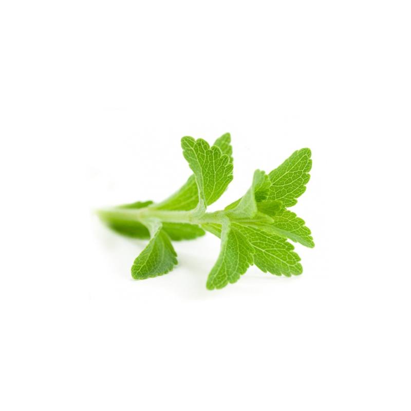 Poudre de feuilles de Stevia - Bio
