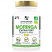 Moringa extra fort bio 90 gélules