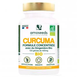 Curcuma formule Concentrée avec gingembre bio 120 gélules