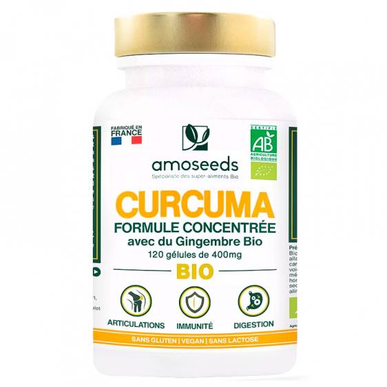 Curcuma formule Concentrée avec gingembre bio 120 gélules